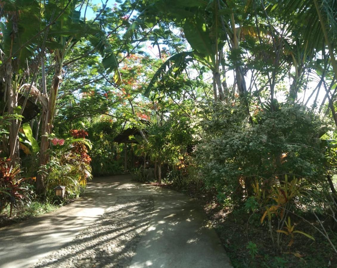 Jungle Of Peace Resort Siquijor Exterior foto